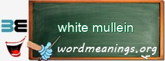 WordMeaning blackboard for white mullein